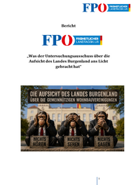 uploads/tx_bcpageflip/Bericht U-Ausschuss "Neue Eisenstädter - Minderheitenbericht"